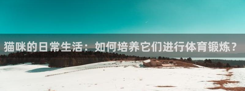 bsport必一运动