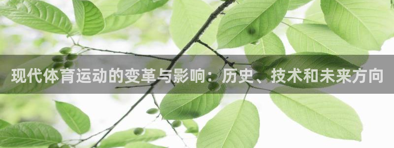 必一运动体育