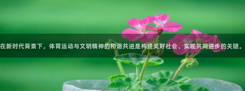 必一运动bsport体育