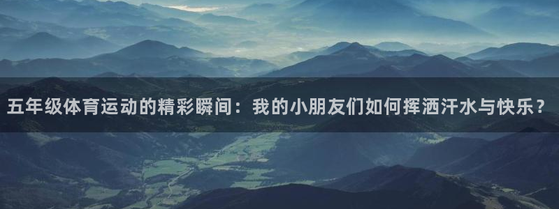 必一运动体育官网入口