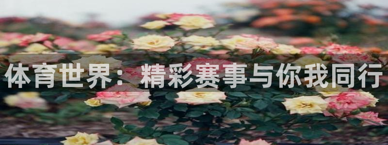 必一运动体育