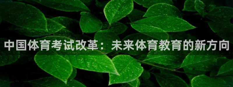 必一运动app