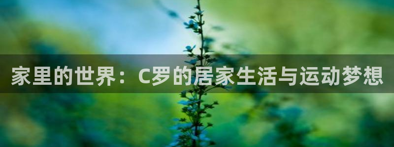必一运动体育官网