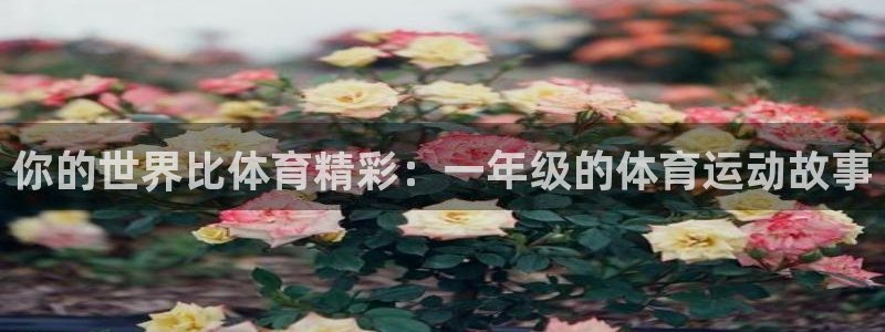 bsport必一运动