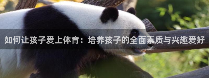 必一运动app