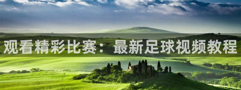 必一运动体育官网