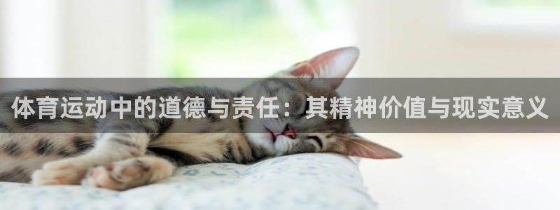必一运动体育官网入口