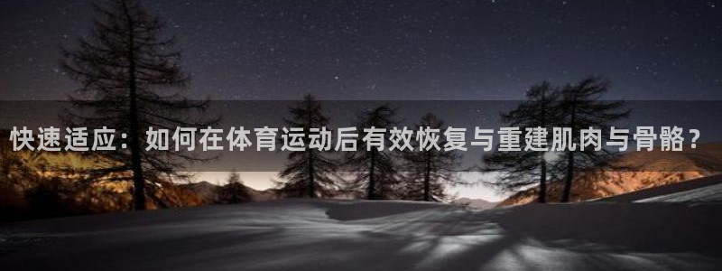 必一运动官网入口